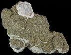 Pyrite, Calcite and Fluorite Association - Fluorescent #51849-1